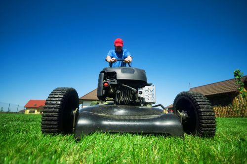 Lawn Care Services